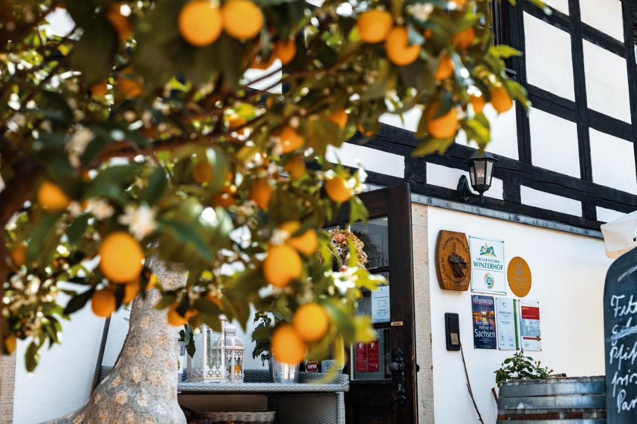 Weingut Schuh - Pension Zur Bosel คอสวิช ภายนอก รูปภาพ